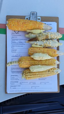 20201218_170308.jpg